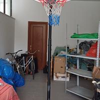 Canestro professionale basket