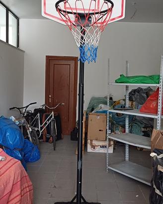 Canestro professionale basket