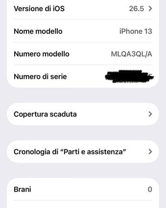 Iphone 13 256 GB