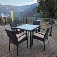 Tavoli e sedie da giardino