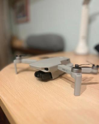 DJI Mini 4K Fly More Combo (3 Batterie + Case)