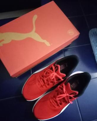 scarpe nuove della Puma