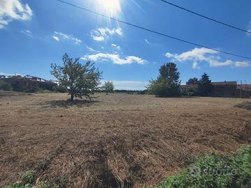 Terreno agricolo incolto