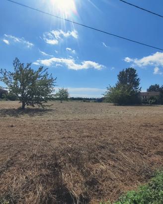 Terreno agricolo incolto