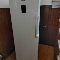 Congelatore Samsung verticale classe A+