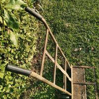 Carrello