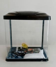 acquario 40 L