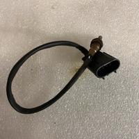 Sonda Lambda Mv Agusta Rivale 800 2013-2015