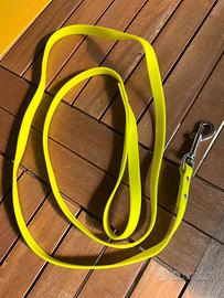Guinzaglio giallo