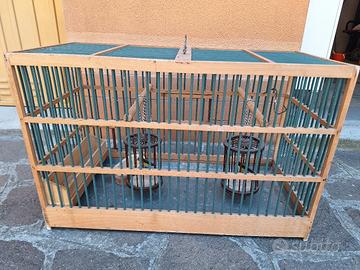 gabbietta per uccellini