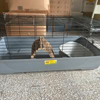 Accessori per conigli