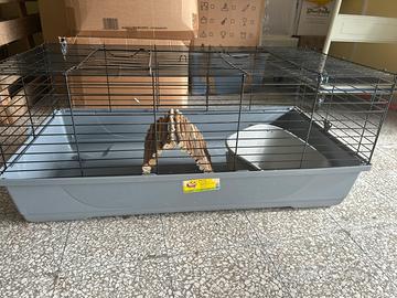 Accessori per conigli