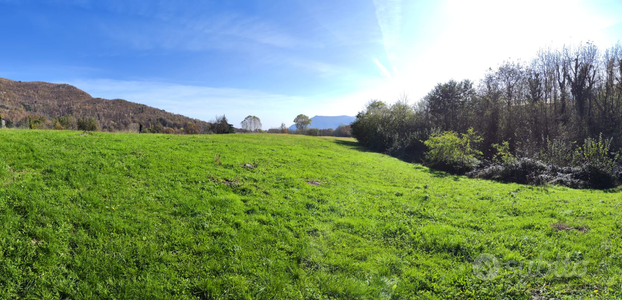 Terreno agricolo Selvaggio rio