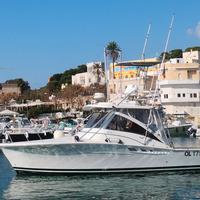 Luhrs 320 Fisherman (2002)
