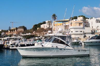Luhrs 320 Fisherman (2002)