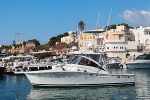 Luhrs 320 Fisherman (2002)