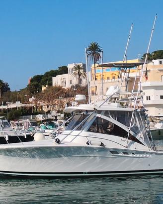 Luhrs 320 Fisherman (2002)