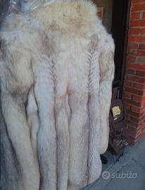 pelliccia Volpe Groenlandia