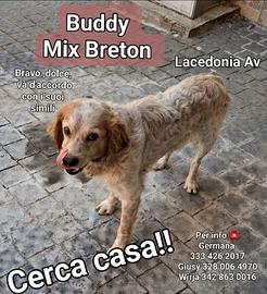BADDY mix Breton