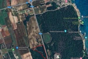 Terreno (50% seminativo 50% pascolo)