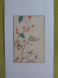 Stampa xilografica giapponese