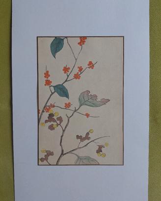 Stampa xilografica giapponese