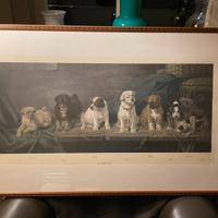 Stampa con cani incorniciato
