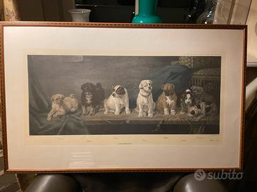 Stampa con cani incorniciato