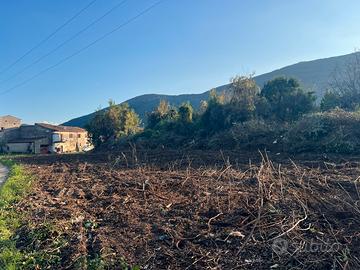 Terreno edificabile 775mq CON VISTA DEL MATESE