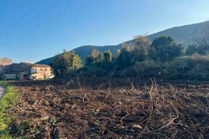 Terreno edificabile 775mq CON VISTA DEL MATESE