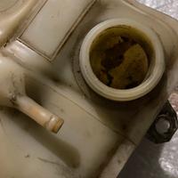 Vaschetta liquido raffreddamento Alfa 155