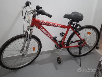 bicicletta