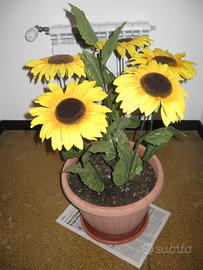 5 girasoli grandi alti cm. 70 pari al nuovo