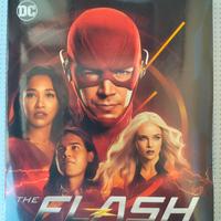 Cofanetto serie tv Flash stagione 6