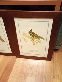 quadri da appendere a muro con cornici in legno