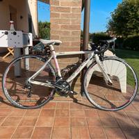 Sintesi taglia S Carbon 