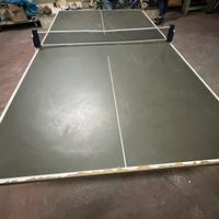 tavolo da ping pong