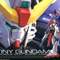 Gundam RG 1/144 Destiny + Expansion Pack BANDAI