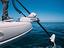 Immagine 10