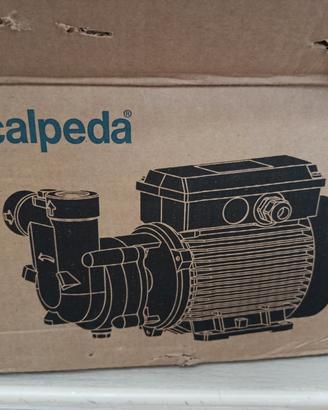elettropompa autodescante motore acqua 