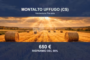 Immobile in asta di 960 m² a Montalto Uffugo