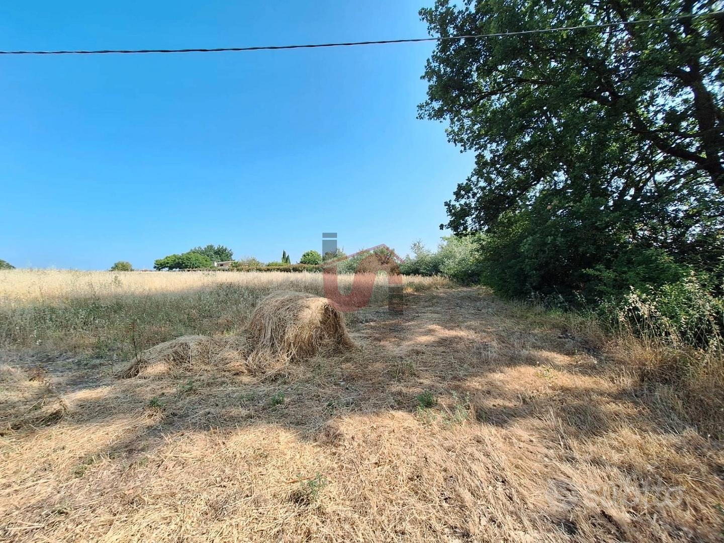 TERRENO AGRICOLO - Contrada le Murate - BENEVENTO - Vista 3