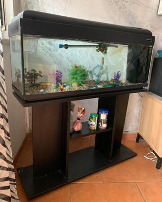 acquario