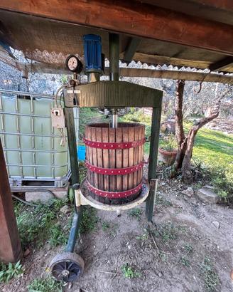 Pressa idraulica per uva