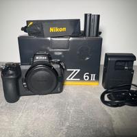 NIkon Z6II + rig