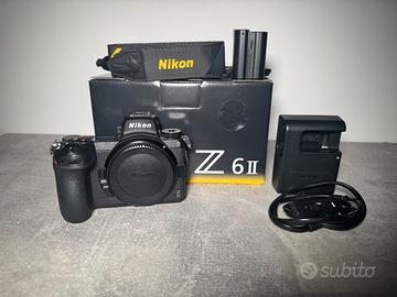 NIkon Z6II + rig