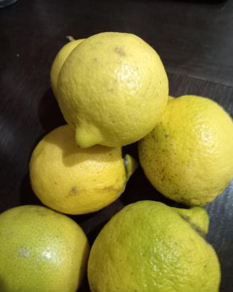 Limoni