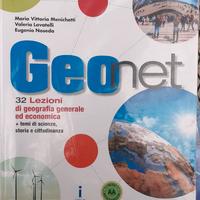 Geo net