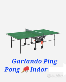 Tavolo Da Ping Pong Training Indoor Nuovo