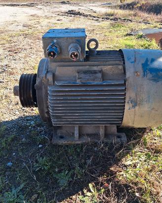 Motore 55kw